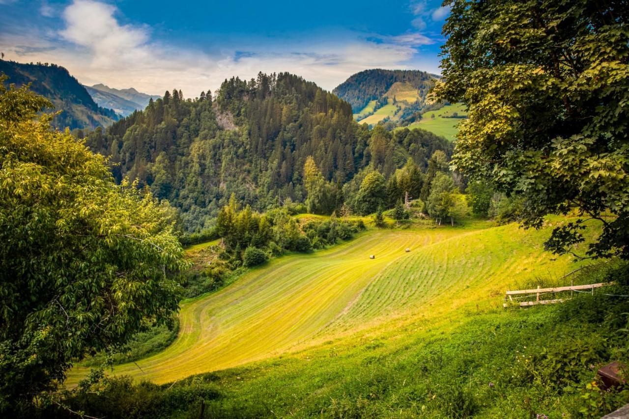 Gasthof Pesbichl Goldegg Kültér fotó